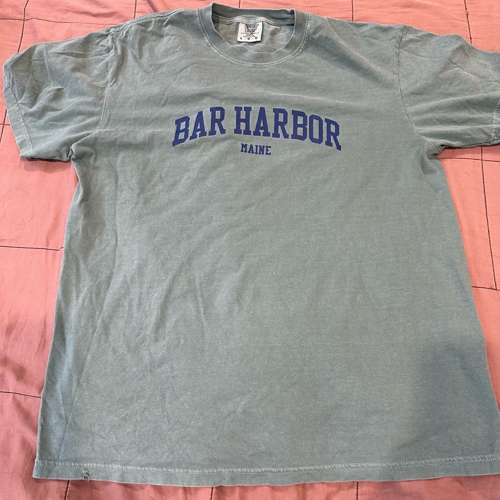 Comfort Colors Men's T-Shirt - Light Green with Blue Print